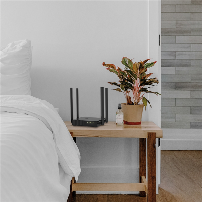 Маршрутизатор TP-Link Archer C54 